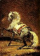 cheval gris pommele  Theodore   Gericault